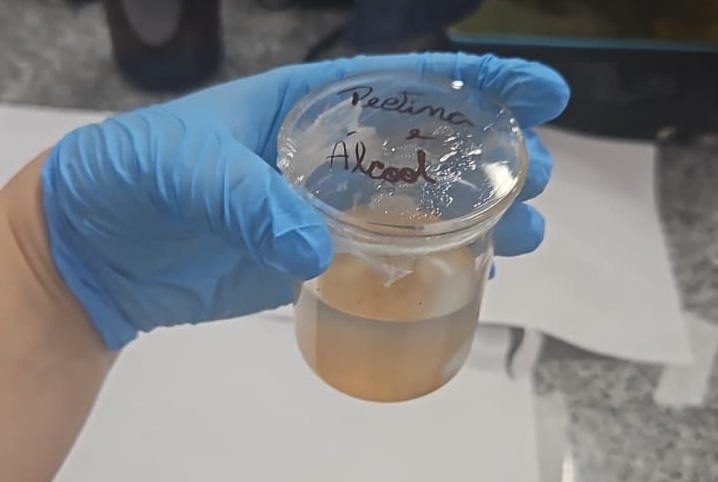 Bioembalagem criada por pesquisadores avança em programa nacional de inovação