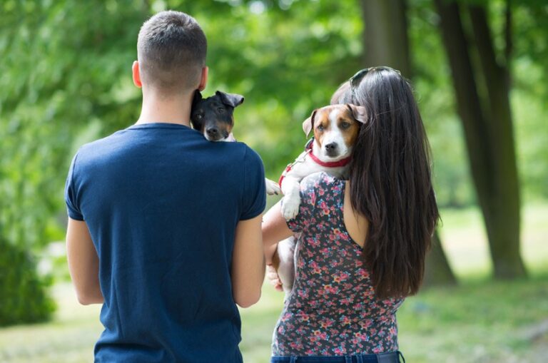 Senado aprova guarda compartilhada de animais de estimação; projeto vai para sanção presidencial