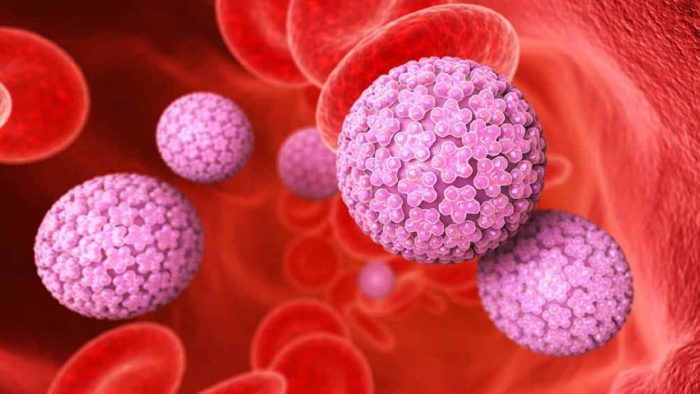 HPV leva, por ano, a 7,5 mil mortes por câncer e a 29 mil hospitalizações no Brasil