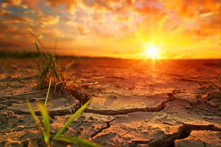 Pesquisadores de 17 países emitem alertas sobre gravidade do aquecimento global