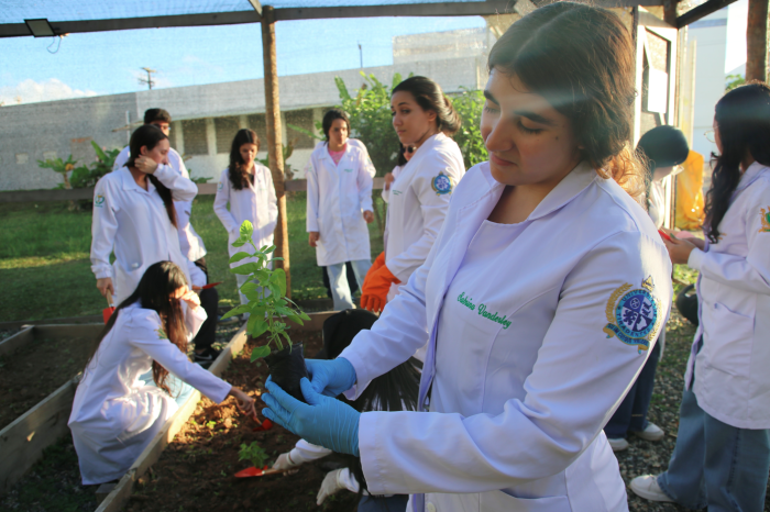 Programa Farmácia Viva une ensino e saúde pública na produção de medicamentos à base de plantas