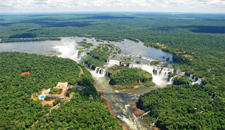 Saiba como surgem as Unidades de Conservação no Brasil e a importância delas para a biodiversidade e os ecossistemas