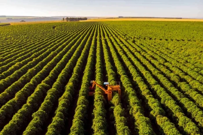 É lançado Plano Safra 2026/2027, com mais de R$ 500 bilhões para fortalecimento da agricultura empresarial