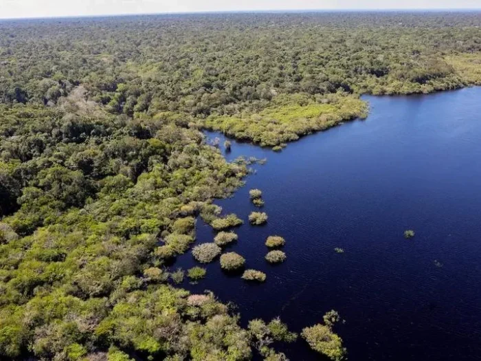 Mapeamento revela dinâmica da superfície de água no Brasil e reforça urgência da restauração de ecossistemas