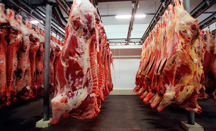 Governo federal tenta reverter decisão da União Europeia sobre exportação de carnes brasileiras