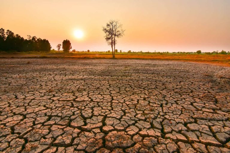 ONU alerta para risco de calor extremo global em decorrência do El Niño