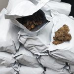 Cope desarticula ponto de tráfico e prende mulher com 15 pacotes de flor de maconha