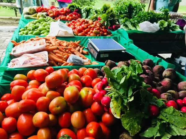 Fenômeno climático El Niño pode elevar a inflação dos alimentos e afetar setor elétrico
