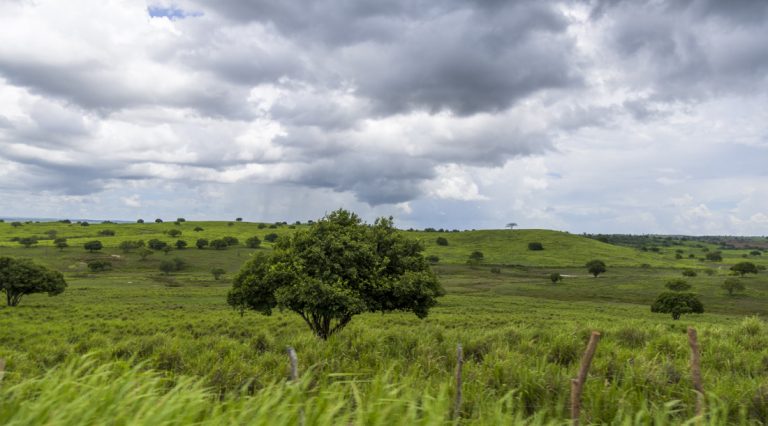 Sergipe cria sala de situação para enfrentar impactos do El Niño