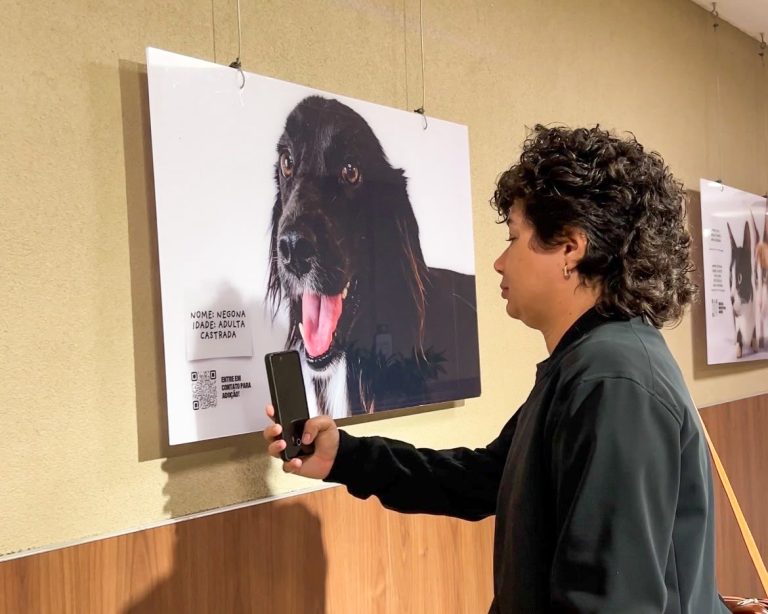 Mostra fotográfica no shopping RioMar incentiva adoção de animais resgatados