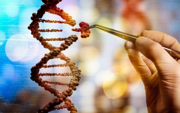 Engenharia genética: entenda conceito e como ela é empregada na biotecnologia