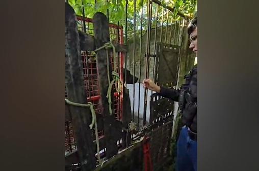 Canil clandestino é fechado em Estância e homem é preso por maus-tratos contra 22 cães
