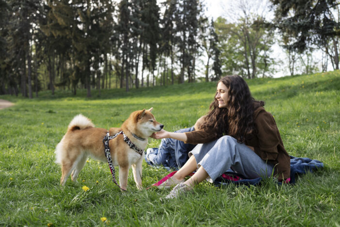 Julho Dourado: a importância do bem-estar dos pets