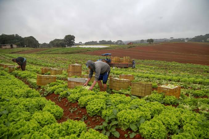 Decreto adia exigência de CNPJ a autônomos e produtores rurais para janeiro de 2027