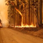 No Brasil, área queimada reduziu mais de 30% em 2025, ficando abaixo da média histórica