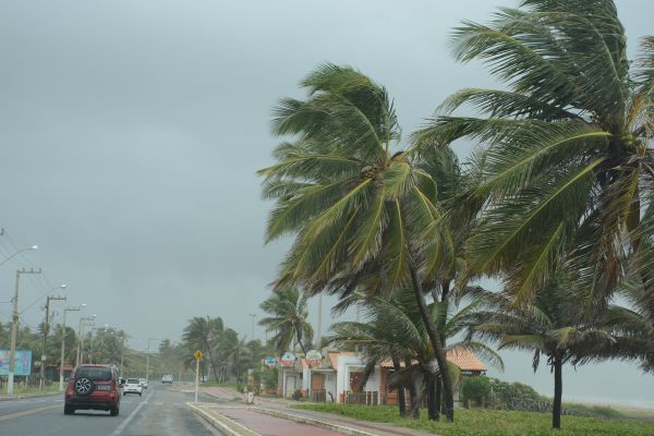 Defesa Civil de Aracaju alerta para possível perigo de vendaval neste sábado (1º)