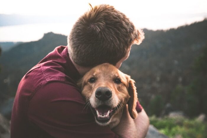 Estudo aponta que cachorros conseguem reconhecer raiva, medo, tristeza e alegria em seres humanos
