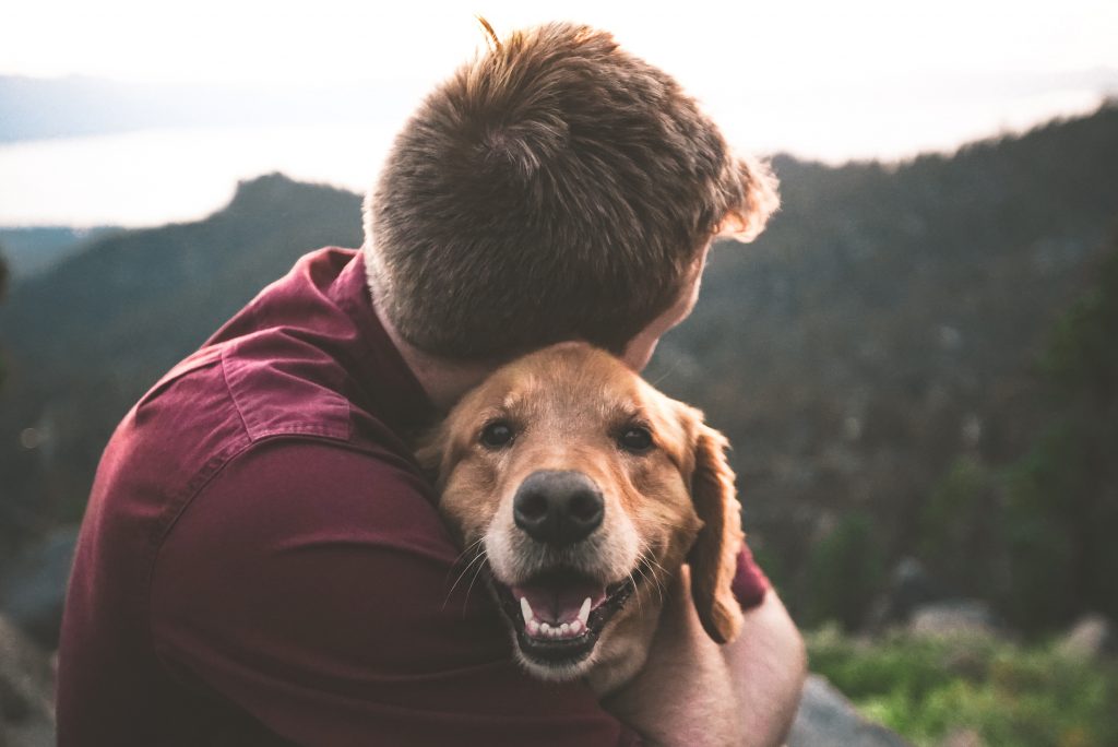 Estudo aponta que cachorros conseguem reconhecer raiva, medo, tristeza e alegria em seres humanos