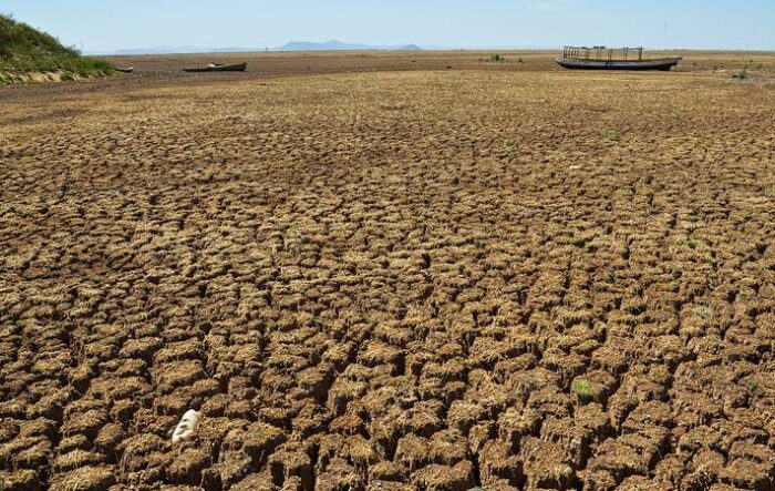 Desertificação no Brasil afeta aproximadamente 39 milhões de pessoas