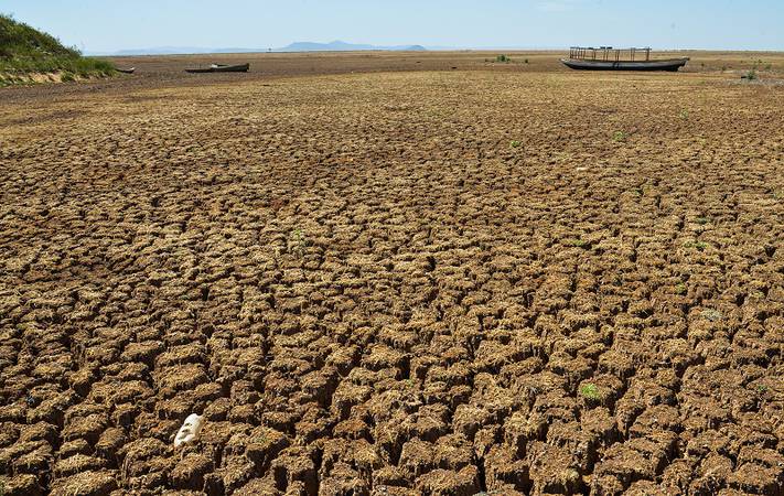Desertificação no Brasil afeta aproximadamente 39 milhões de pessoas