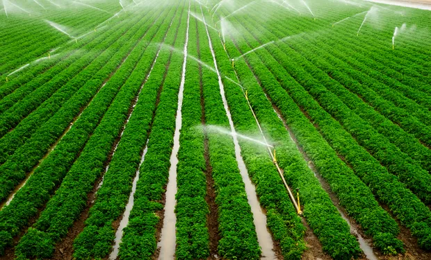 Mudanças climáticas culminarão em mais irrigação no Brasil
