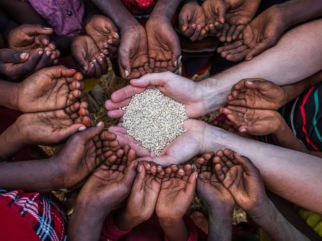 El Niño: agência da ONU estima que fenômeno leve 49 milhões de pessoas a mais para insegurança alimentar aguda