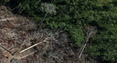 Amazônia registra menor índice de alertas de desmatamento em uma década