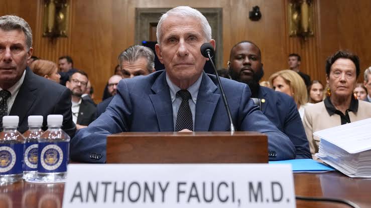 Caso covid-19: estados norte-americanos abrem investigações contra Anthony Fauci