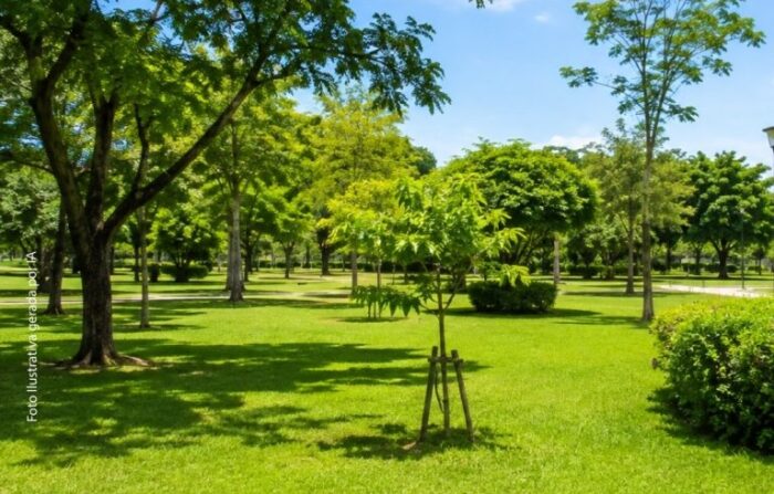 MPSE pede anulação de sentença que transferiu área pública para particulares em Aracaju