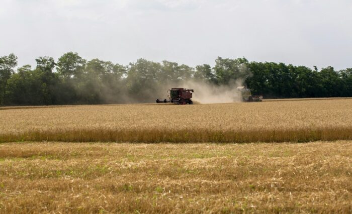 Agricultura empresarial contrata R$ 28,2 bi em crédito rural no primeiro mês da safra 2026/2027
