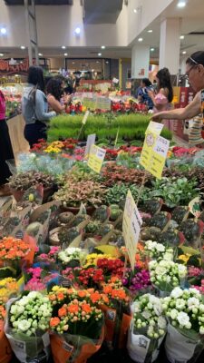 Feira de Flores de Holambra movimenta Aracaju com mais de 200 espécies