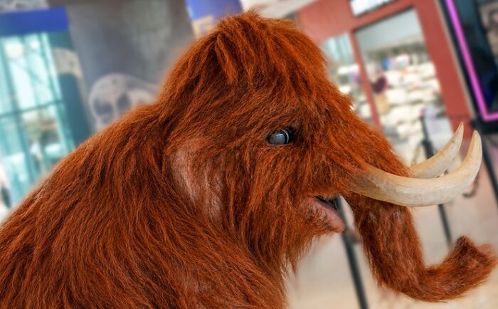 Shopping Jardins promove encontros inéditos com Mamute e Mamutinho