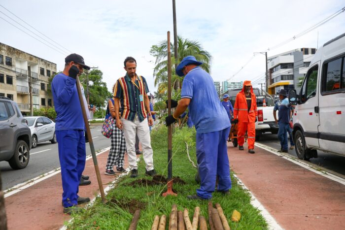 Prefeita de Aracaju anuncia plantio de centenas de árvores nas avenidas Hermes Fontes e Euclides Figueiredo