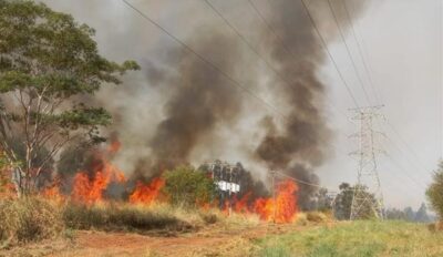 Distribuidoras de energia alertam para queimadas