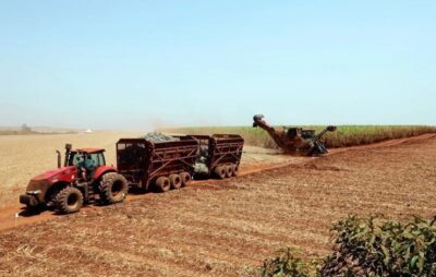 Clima, e não o preço, será fator determinante para produção nas usinas