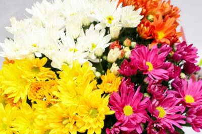 Vendas de flores devem crescer 5,2% no dia de Finados