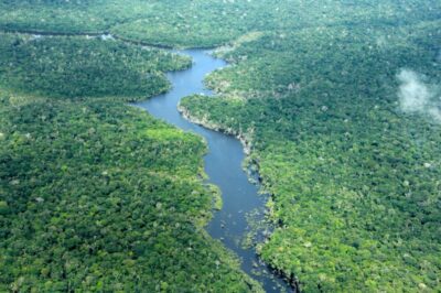 Amazônia registra menor nível de desmatamento em quatro décadas, revela MapBiomas