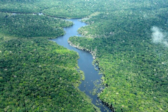 Amazônia registra menor nível de desmatamento em quatro décadas, revela MapBiomas