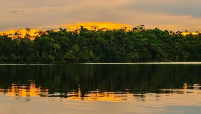 Patrimônio Mundial da Unesco, Amazônia Central protege mais de 6 milhões de hectares de floresta
