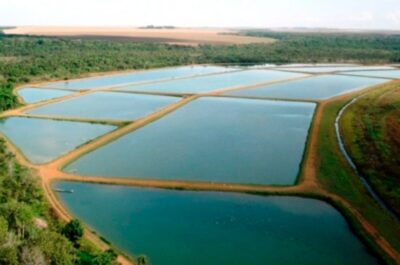 Saiba o que muda no licenciamento ambiental da aquicultura