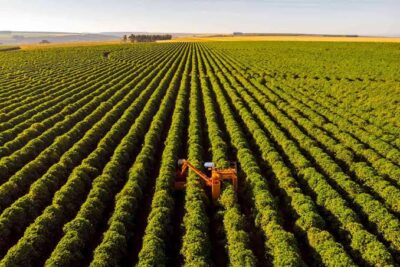 Aprovação do fim da escala 6×1 pode desencadear riscos ao agronegócio brasileiro