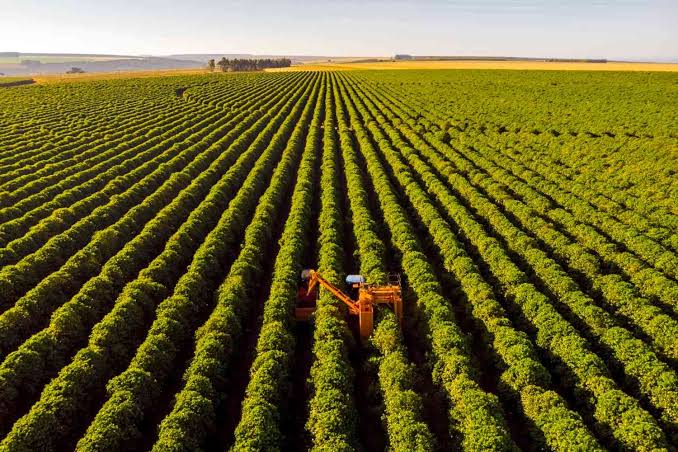 Aprovação do fim da escala 6×1 pode desencadear riscos ao agronegócio brasileiro