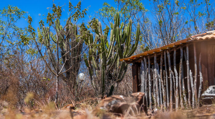 Boletim do El Niño aponta seca grave em quatro municípios do Alto Sertão sergipano