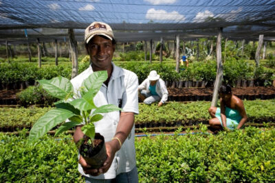 Contrata+Brasil movimenta mais de R$ 182 mil em Sergipe